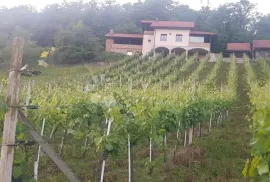 KUĆA ZA ODMOR IZMEĐU KRAPINSKIH I TUHELJSKIH TOPLICA, Krapinske Toplice, Casa