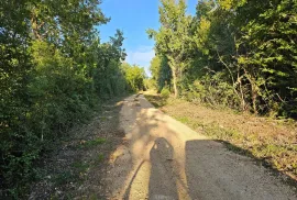 Maslinik sa  170 mladih maslina u okolici Tara kod Poreča i blizu mora, Poreč, أرض