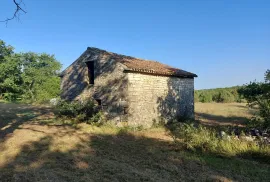 Odlična prilika ,prodajemo cijelo brdo s pogledom na more i s malom kamenom kućicom u blizini Rovinja, Buje, Casa