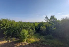 Odlična prilika ,prodajemo cijelo brdo s pogledom na more i s malom kamenom kućicom u blizini Rovinja, Buje, Casa