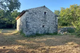 Odlična prilika ,prodajemo cijelo brdo s pogledom na more i s malom kamenom kućicom u blizini Rovinja, Buje, Casa