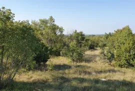 Odlična prilika ,prodajemo cijelo brdo s pogledom na more i s malom kamenom kućicom u blizini Rovinja, Buje, Maison