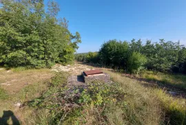 Odlična prilika ,prodajemo cijelo brdo s pogledom na more i s malom kamenom kućicom u blizini Rovinja, Buje, Casa