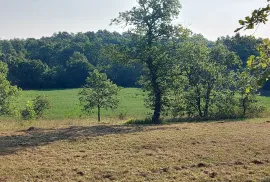 Odlična prilika ,prodajemo cijelo brdo s pogledom na more i s malom kamenom kućicom u blizini Rovinja, Buje, Casa