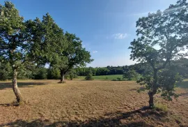 Odlična prilika ,prodajemo cijelo brdo s pogledom na more i s malom kamenom kućicom u blizini Rovinja, Buje, Casa