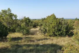 Odlična prilika ,prodajemo cijelo brdo s pogledom na more i s malom kamenom kućicom u blizini Rovinja, Buje, Casa