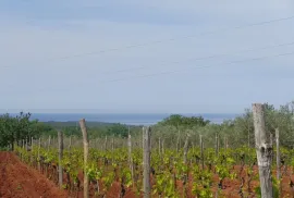 Poljoprivredno zemljište s pogledom na more, Poreč, Arazi