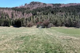 Gorski kotar, Sunger - građevinsko-poljoprivredno zemljište, 4500 m2, Mrkopalj, Γη