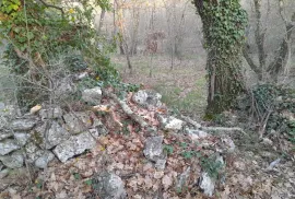 Istra,Orbanići,šuma i pašnjaci, Marčana, Terra