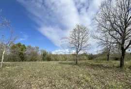 Istra-Sveti Lovreč, građevinsko zemljište 602 m2, Sveti Lovreč, Zemljište