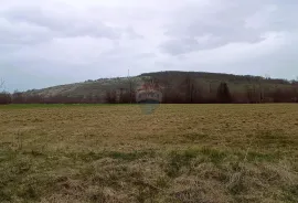 Karlovačka županija,Plaški - Kuća sa dvije dvorišne zgrade i građevinskim zemljištem, Plaški, House