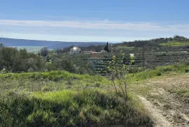 Istra, Krasica -Građevinsko zemljište s pogledom na more, Buje, Land