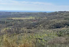 Istra, Krasica - Građevinsko zemljište s pogledom na more i pravomoćnom građevinskom dozvolom, Buje, Земля