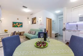 OTOK KRK,MALINSKA apartman sa vrtom, Malinska-Dubašnica, Flat