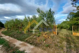 ISTRA - MEDULIN prodaje se maslinik, Medulin, Land