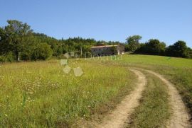 Prostrano građevinsko zemljište na idiličnoj lokaciji!, Karojba, Land