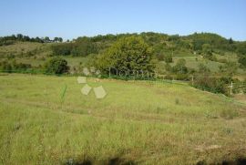 Prostrano građevinsko zemljište na idiličnoj lokaciji!, Karojba, Terrain