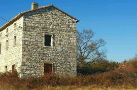 ISTARSKA STANCIJA - KRNICA (167.000 m2), Cerovlje, Famiglia