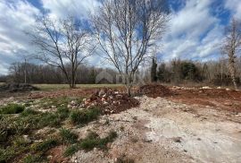 ISTRA,POREČ - Poljoprivredno zemljište uz prometnicu, Poreč, Terrain