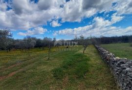 ISTRA, MARČANA - Kombinacija građevinskog i poljoprivrednog zemljišta na mirnoj lokaciji!, Marčana, Terra