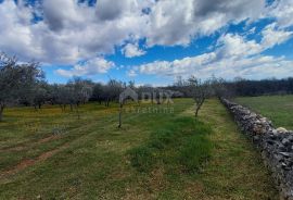 ISTRA, MARČANA - Kombinacija građevinskog i poljoprivrednog zemljišta na mirnoj lokaciji!, Marčana, Terra