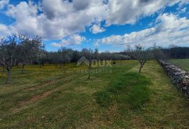 ISTRA, MARČANA - Kombinacija građevinskog i poljoprivrednog zemljišta na mirnoj lokaciji!, Marčana, Terra