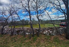 ISTRA, MARČANA - Kombinacija građevinskog i poljoprivrednog zemljišta na mirnoj lokaciji!, Marčana, Terra