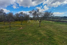 ISTRA, MARČANA - Kombinacija građevinskog i poljoprivrednog zemljišta na mirnoj lokaciji!, Marčana, Terra