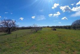 ISTRA, MARČANA - Poljoprivredno zemljište 10956m2!, Marčana, Земля