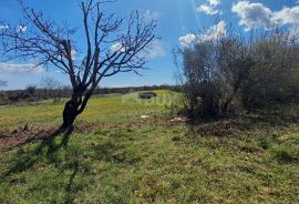 ISTRA, MARČANA - Poljoprivredno zemljište 10956m2!, Marčana, Земля