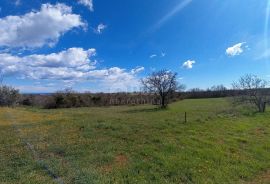 ISTRA, MARČANA - Poljoprivredno zemljište 10956m2!, Marčana, Земля