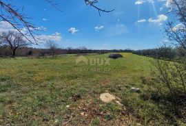 ISTRA, MARČANA - Poljoprivredno zemljište 10956m2!, Marčana, Земля