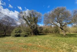 ISTRA, MARČANA - Poljoprivredno zemljište 10956m2!, Marčana, Земля