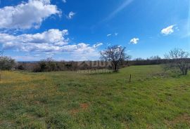 ISTRA, MARČANA - Poljoprivredno zemljište 10956m2!, Marčana, Земля