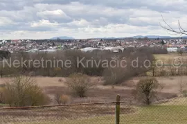 Obiteljska kuća s gospodarskim zgradama, Bjelovar - Okolica, Дом