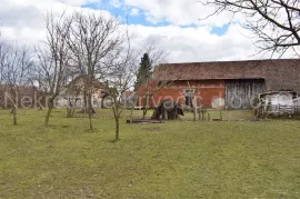 Obiteljska kuća s gospodarskim zgradama, Bjelovar - Okolica, Дом