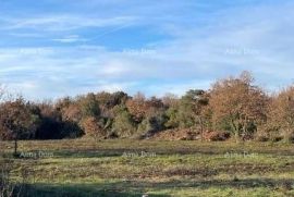 Građevinsko zemljište Loborika,  građevinsko zemljište., Marčana, Terra