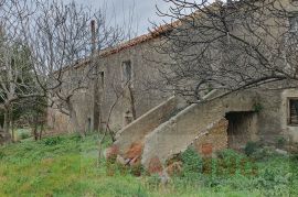 PRIVLAKA - kamena kuća sa velikom okućnicom, Privlaka, House