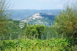 Istra, Kaldir, kuća s idejnim projektom, Motovun, Kuća