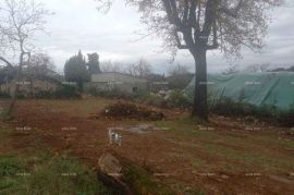 Građevinsko zemljište Istra, Žminj. Prodaje se građevinski teren sa ucrtanom starinom., Žminj, Terreno