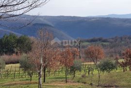 ISTRA, BARBAN - Kompleks građevinskog 2200 m2 i poljoprivrednog 1005 m2 zemljišta, zadnje u građevinskoj zoni, Barban, Terra