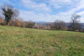 ISTRA, BARBAN - Kompleks građevinskog 2200 m2 i poljoprivrednog 1005 m2 zemljišta, zadnje u građevinskoj zoni, Barban, Terra