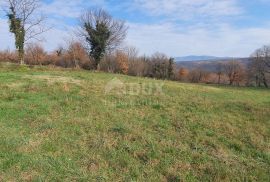 ISTRA, BARBAN - Kompleks građevinskog 2200 m2 i poljoprivrednog 1005 m2 zemljišta, zadnje u građevinskoj zoni, Barban, Terra