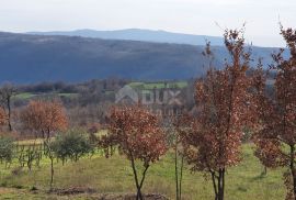 ISTRA, BARBAN - Kompleks građevinskog 2200 m2 i poljoprivrednog 1005 m2 zemljišta, zadnje u građevinskoj zoni, Barban, Terra