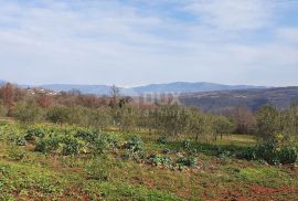 ISTRA, BARBAN - Kompleks građevinskog 2200 m2 i poljoprivrednog 1005 m2 zemljišta, zadnje u građevinskoj zoni, Barban, Terra