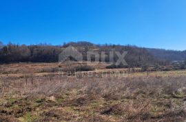 SLUNJ, PRIMIŠLJE- Zemljište od 86269 m2 s ruševnom kućom, Slunj, Arazi