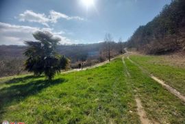 ISTRA, PAZIN - OKOLICA, KAMENA KUĆA SA PANORAMSKIM POGLEDOM, Pazin - Okolica, Casa