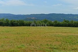 ISTRA, BUZET - Fantastično građevinsko zemljište s pogledom na stari grad Buzet i brdašca, Buzet, Arazi