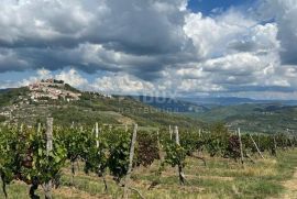 ISTRA, MOTOVUN - Prostrano građevinsko zemljište, Motovun, Land