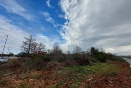 ISTRA, GALIŽANA - Zemljište industrijske namjene u industrijskoj zoni, Vodnjan, Земля